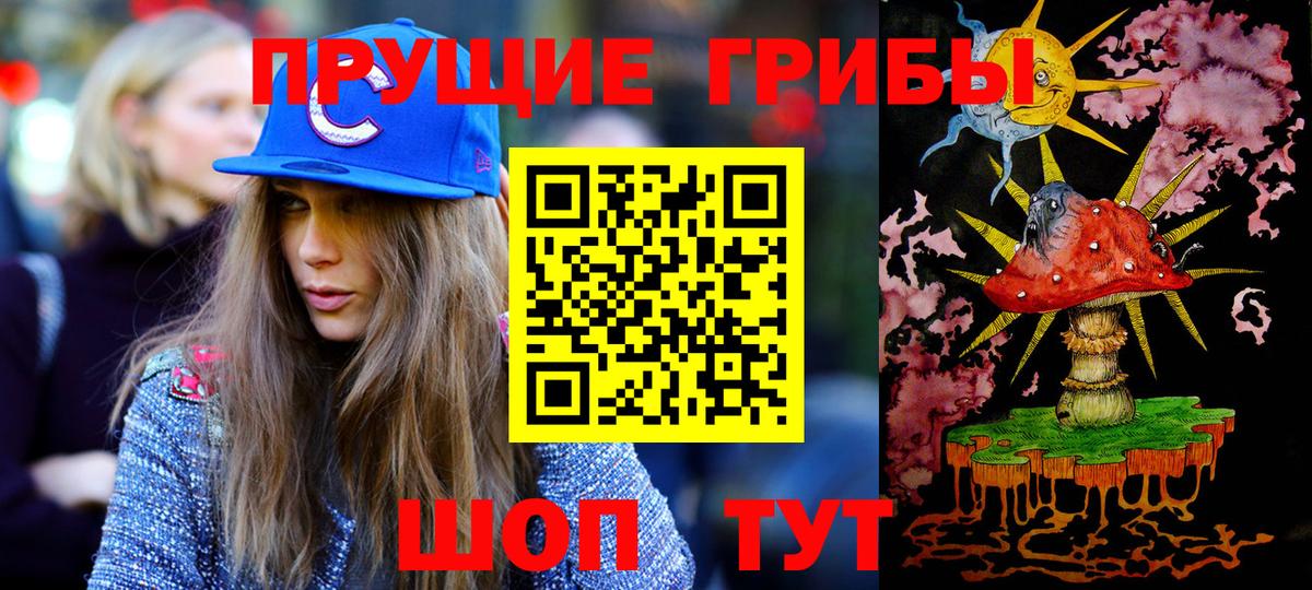 Псилоцибиновые грибы прущие грибы Георгиевск
